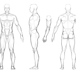 Ilustrasi proporsi dan struktur tubuh sebagai cara menguasai gambar anatomi bagi pemula