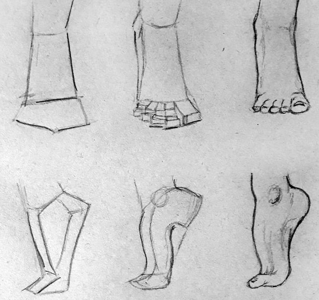 anatomi tangan dan kaki