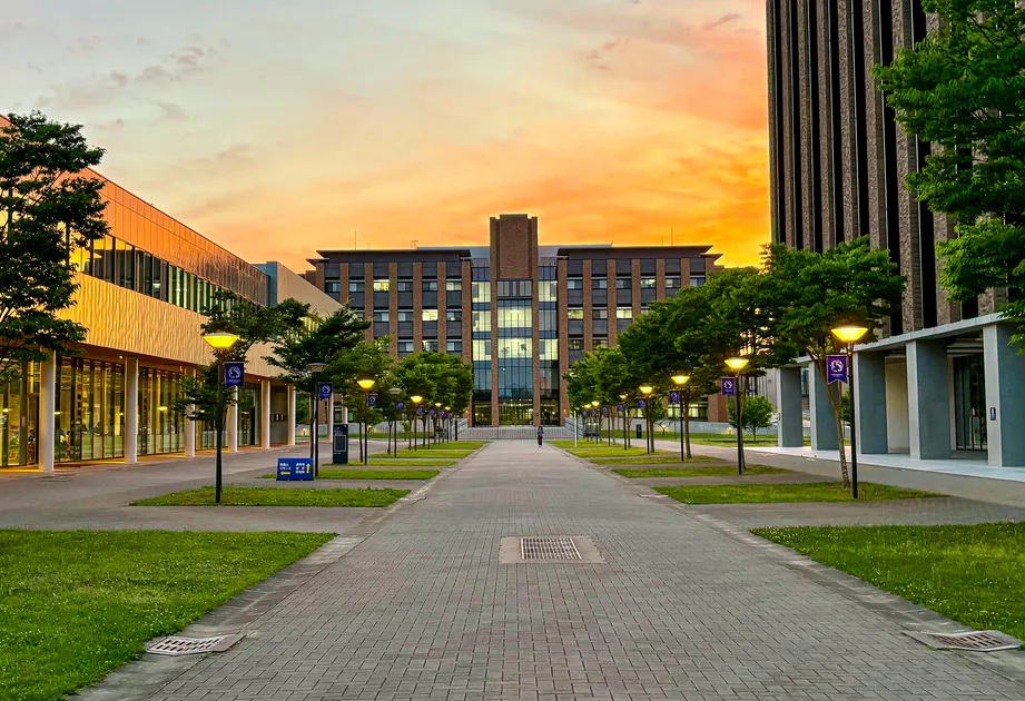 Tohoku University arsitektur di Jepang