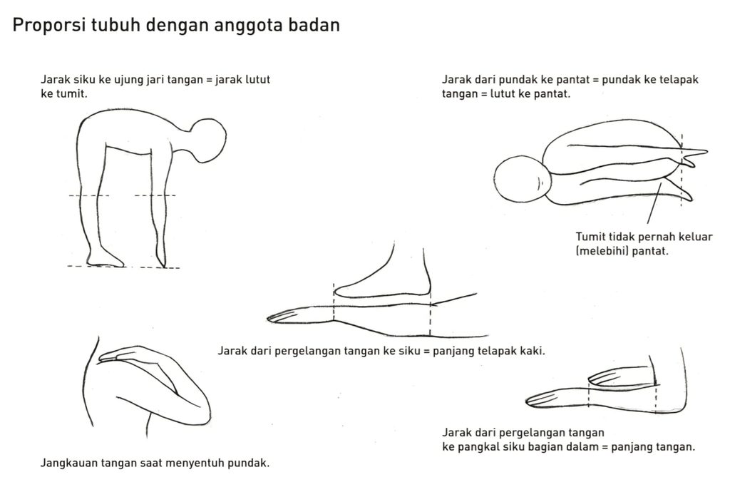 proporsi tubuh